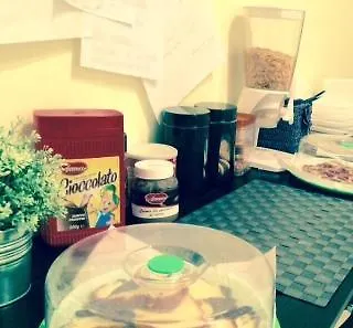 Two Flowers 게스트하우스